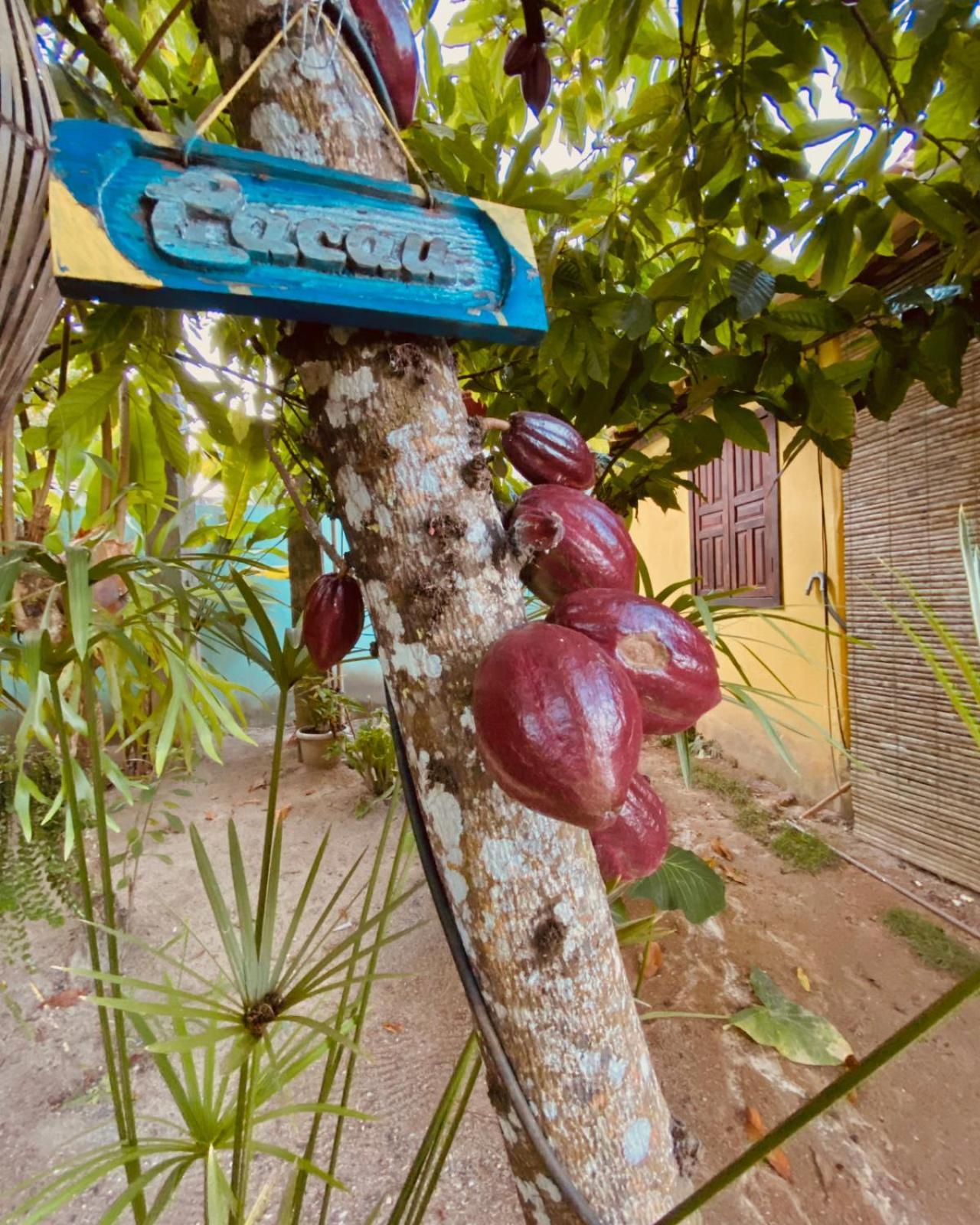 Pousada Recanto das Árvores - Nova Caraíva Exterior foto